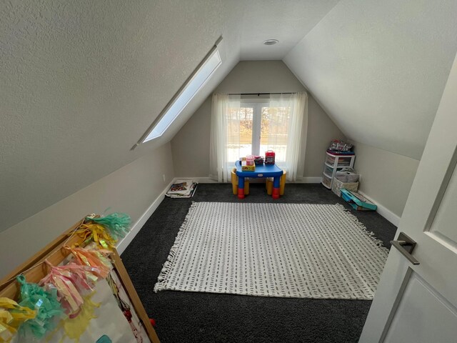 13849 Leaf River Rd, Wadena, MN 56482 - bonus room with vaulted ceiling, a textured ceiling, a skylight, dark carpet, and baseboards