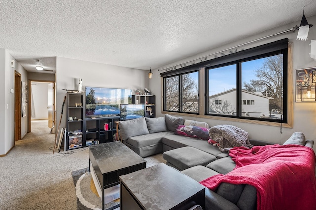 living area featuring a textured ceiling and carpet flooring