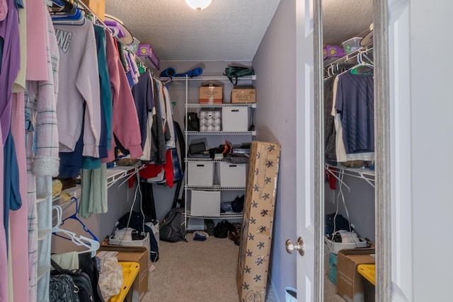 walk in closet with carpet