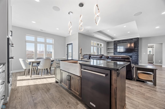 kitchen with light wood finished floors, appliances with stainless steel finishes, dark brown cabinets, and a sink