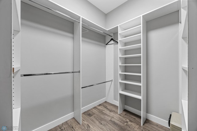 walk in closet with wood finished floors