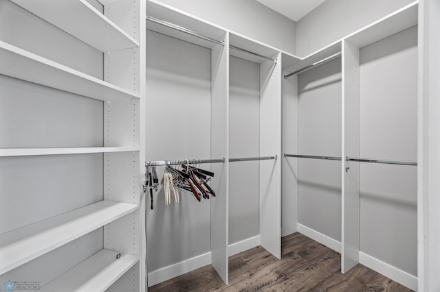 spacious closet with wood finished floors