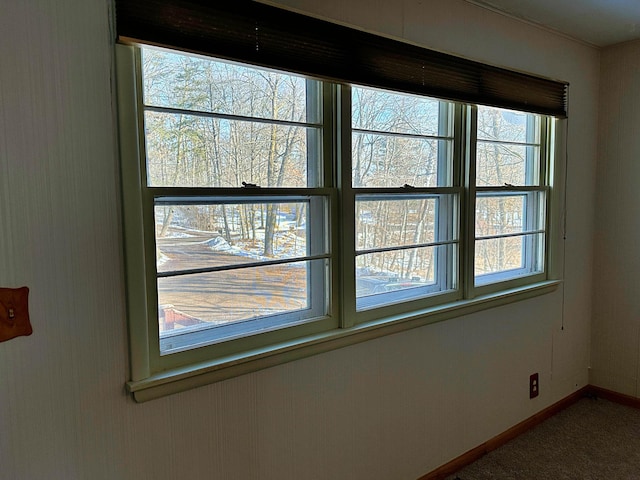 room details featuring carpet and baseboards