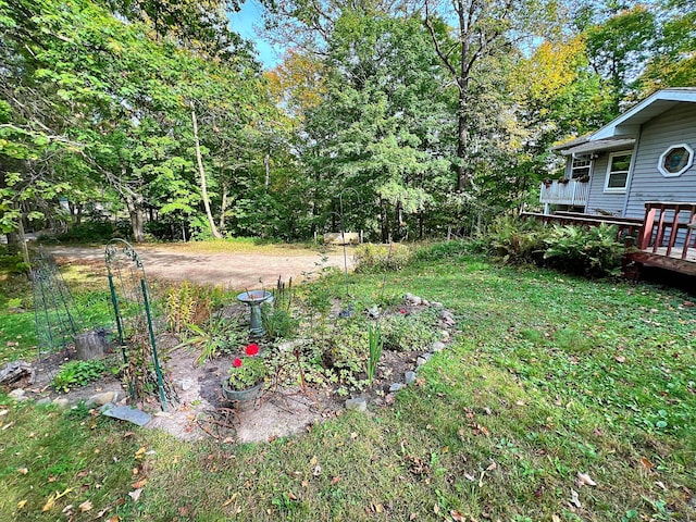 view of yard featuring a wooden deck