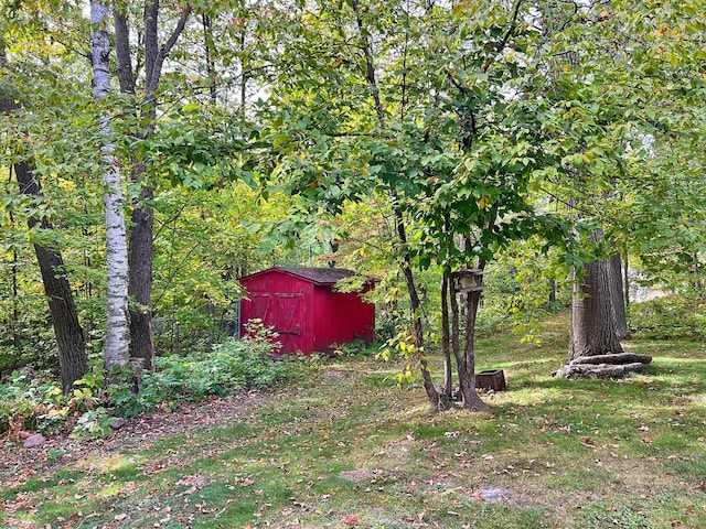 view of yard featuring a storage unit and an outbuilding