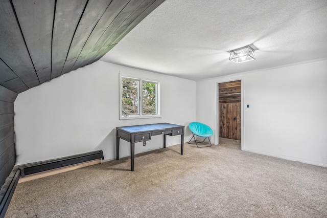 additional living space featuring a textured ceiling, carpet floors, and baseboard heating