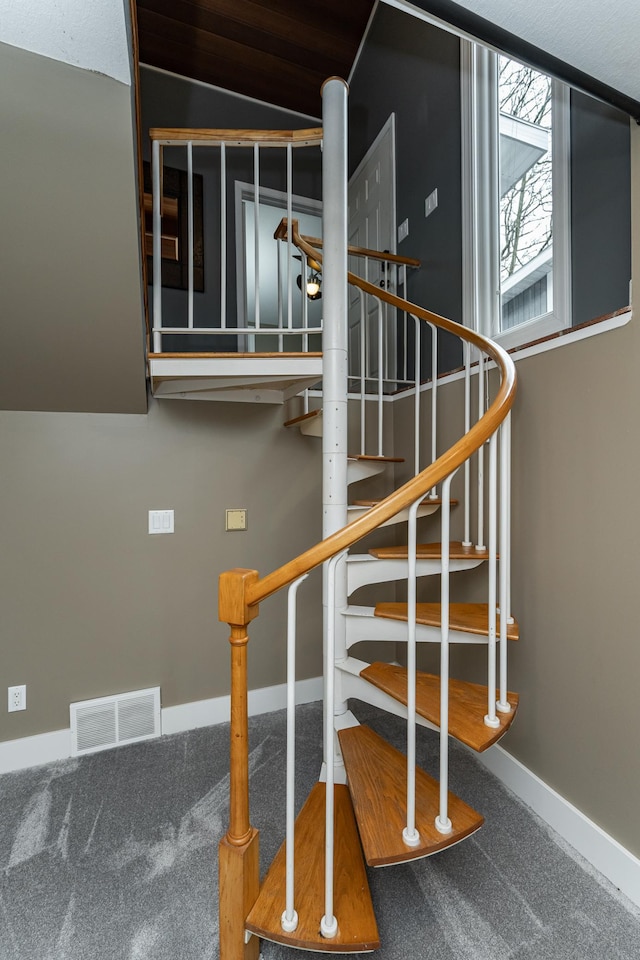 1509 Woodland Dr SW, Rochester, MN 55902 - stairs with visible vents, carpet flooring, and baseboards