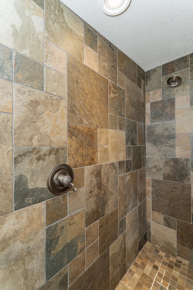 1509 Woodland Dr SW, Rochester, MN 55902 - room details with tiled shower