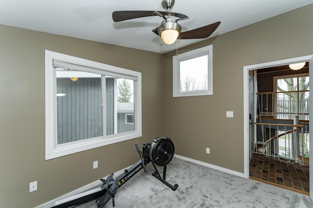1509 Woodland Dr SW, Rochester, MN 55902 - exercise area featuring baseboards, a ceiling fan, a healthy amount of sunlight, and carpet flooring