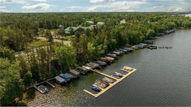 bird's eye view with a water view and a wooded view