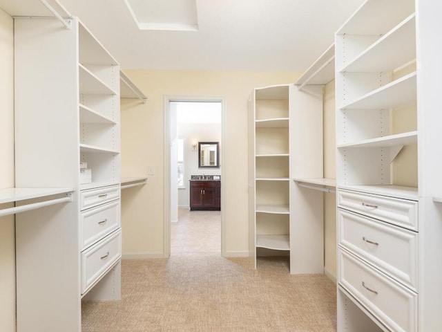 walk in closet with light colored carpet