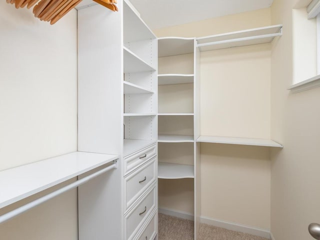 walk in closet featuring carpet flooring