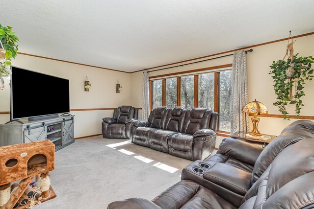 16266 172nd Ave SE, Becker Twp, MN 55309 - photo 9