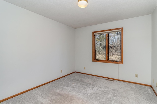 16266 172nd Ave SE, Becker Twp, MN 55309 - photo 10