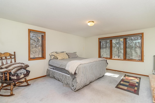 16266 172nd Ave SE, Becker Twp, MN 55309 - photo 15