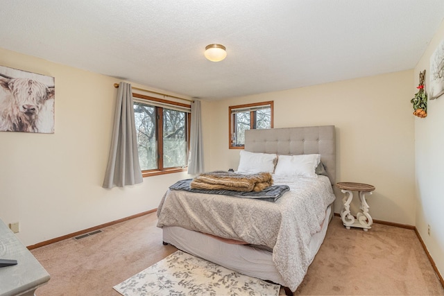 16266 172nd Ave SE, Becker Twp, MN 55309 - photo 20