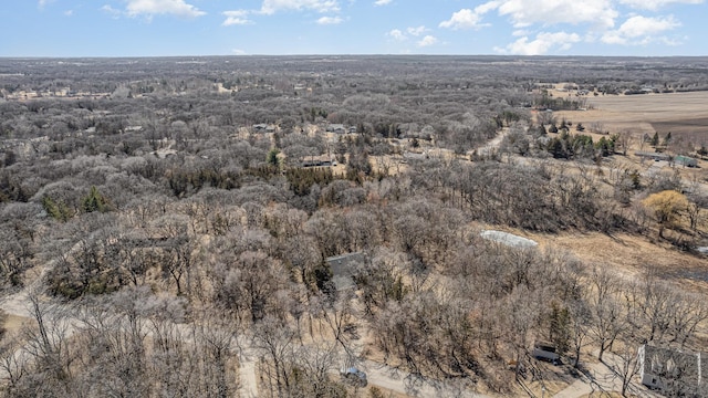 16266 172nd Ave SE, Becker Twp, MN 55309 - photo 32