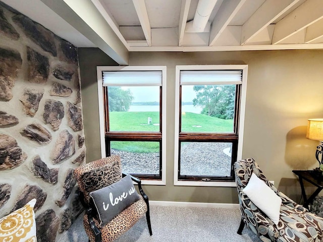 living area with carpet flooring and baseboards