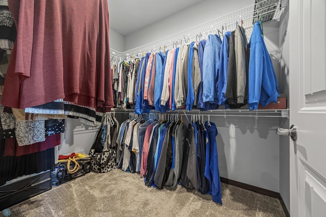 walk in closet featuring carpet flooring