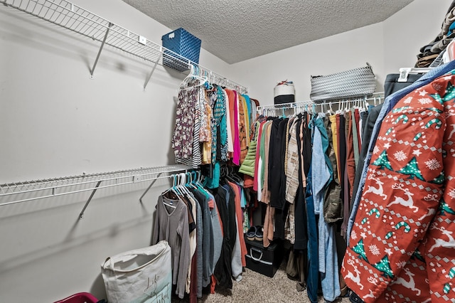 walk in closet featuring carpet floors