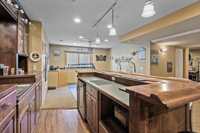 kitchen featuring light wood-type flooring, pendant lighting, dark brown cabinets, and freestanding refrigerator