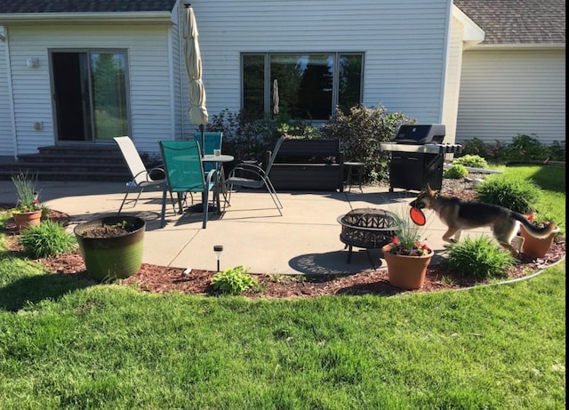 view of patio / terrace with entry steps, a grill, and a fire pit