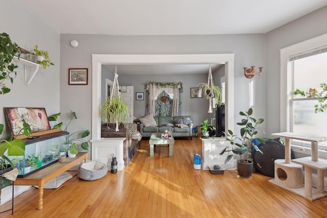 interior space featuring a healthy amount of sunlight and wood finished floors