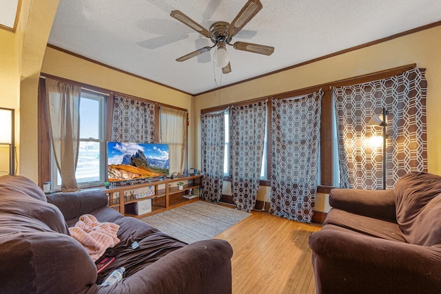 living room featuring a ceiling fan, crown molding, a textured ceiling, and wood finished floors