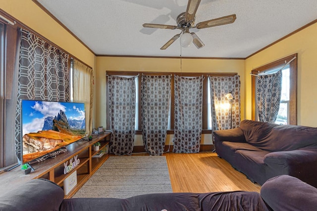 living room featuring a textured ceiling, ceiling fan, wood finished floors, and crown molding