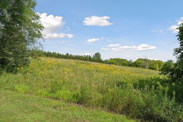 view of nature with a rural view