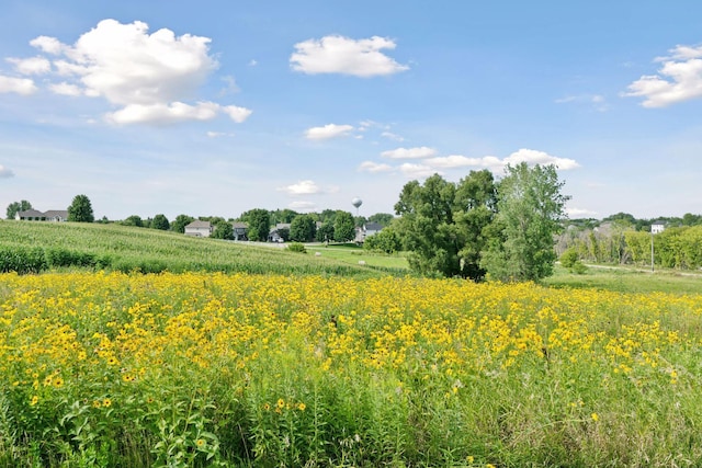 view of landscape with a rural view