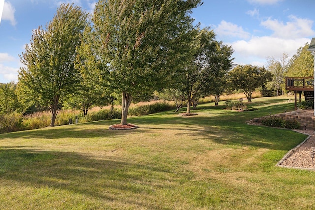 view of yard with a deck