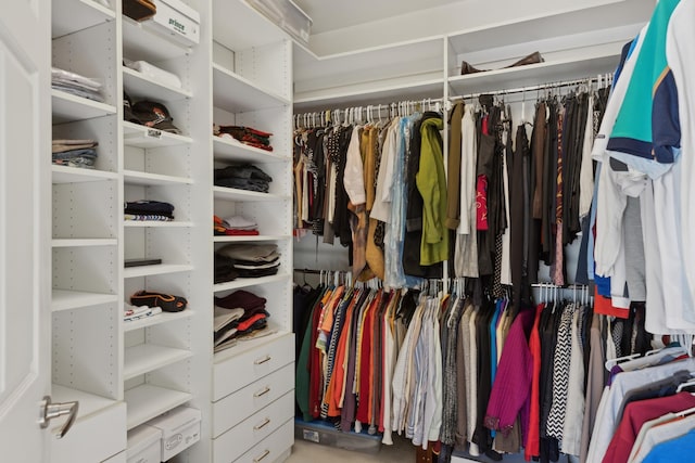 view of walk in closet