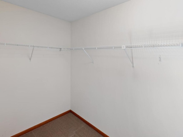 walk in closet with carpet