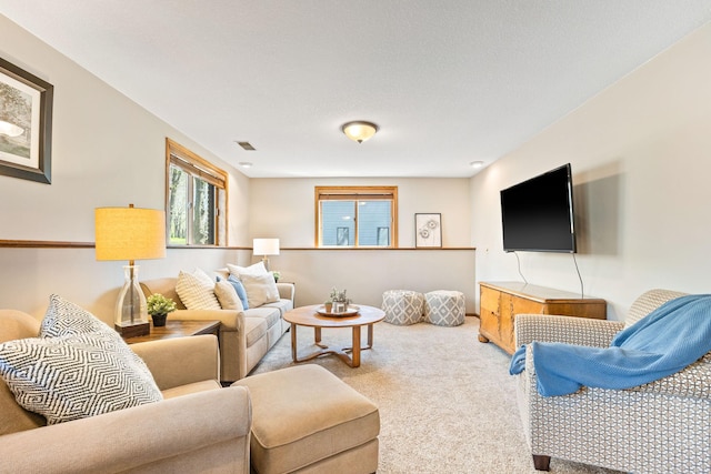 living area with carpet
