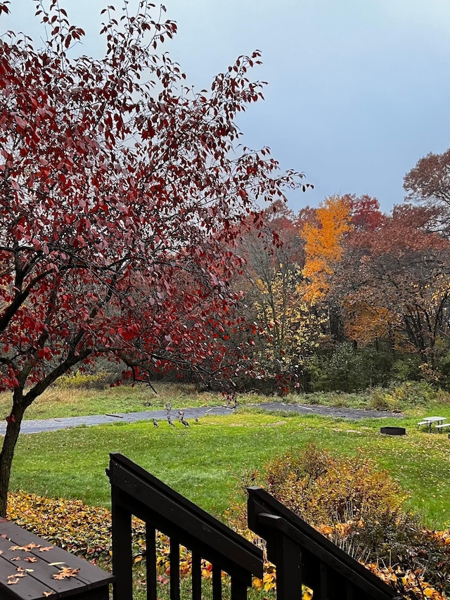view of grassy yard