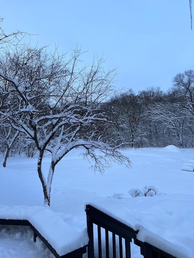 view of yard covered in snow