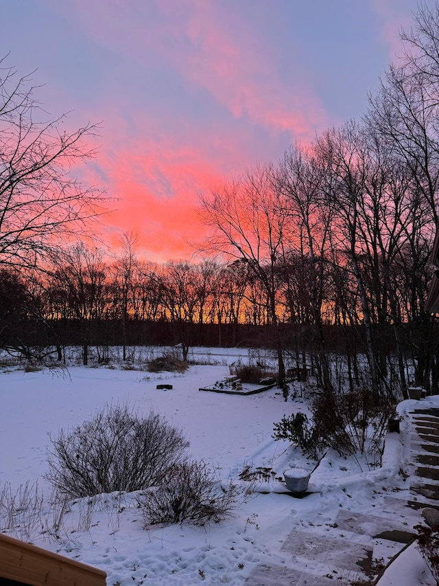 view of snowy yard