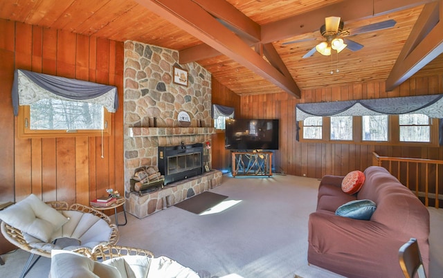 7151 Powderhorn Dr, Randall, MN 56475 - photo 10