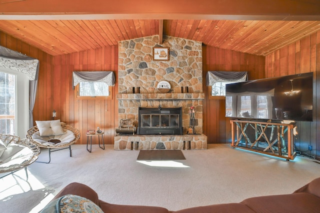 7151 Powderhorn Dr, Randall, MN 56475 - photo 12