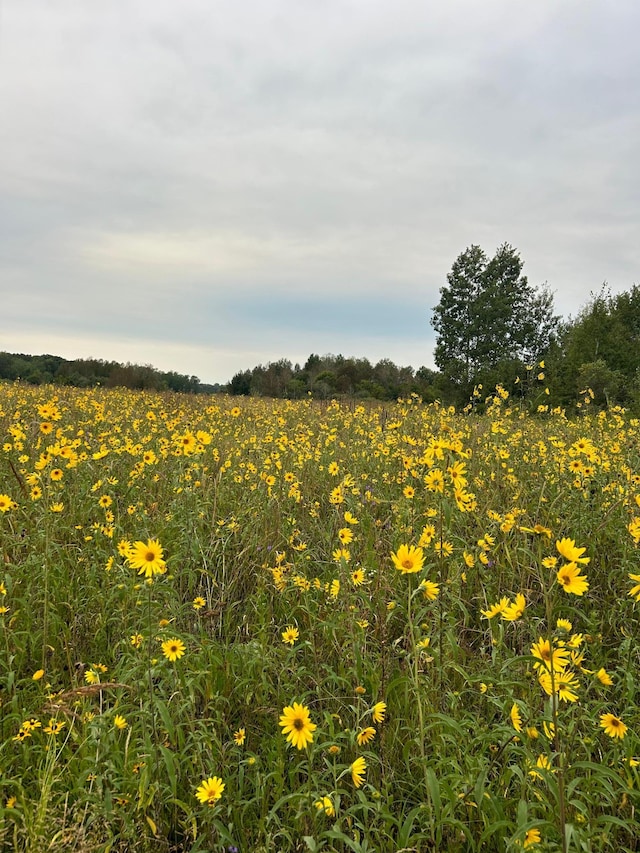 XXX County Road 66, Staples MN, 56479 land for sale