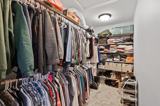 spacious closet with carpet