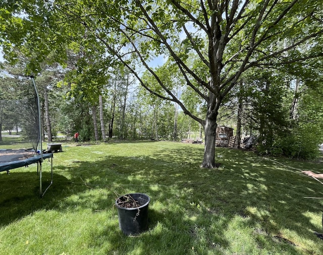 view of yard with a trampoline