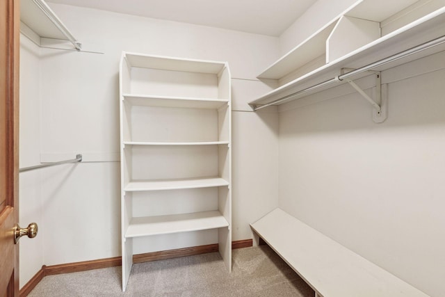 walk in closet featuring carpet flooring