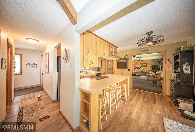 kitchen featuring light wood-style flooring, ceiling fan, a textured ceiling, a kitchen breakfast bar, and black electric cooktop