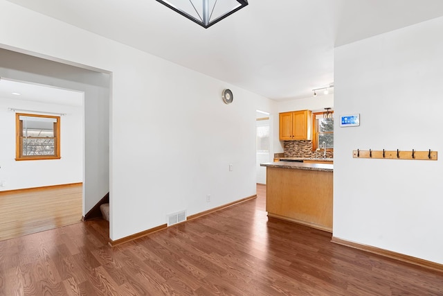 kitchen featuring dark wood-style flooring, a sink, visible vents, and decorative backsplash