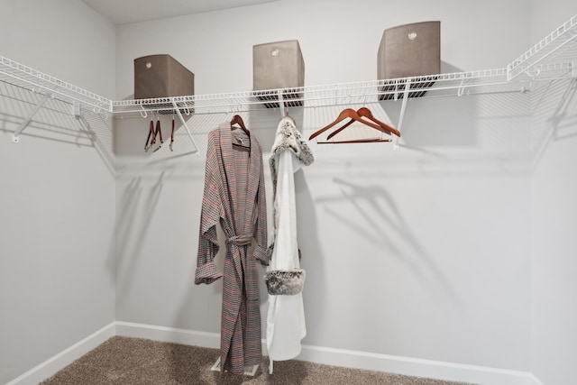 walk in closet featuring carpet flooring