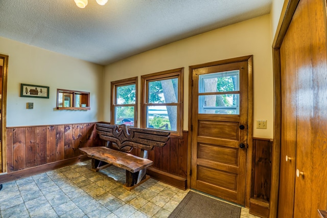 foyer featuring a wainscoted wall, plenty of natural light, and wood walls