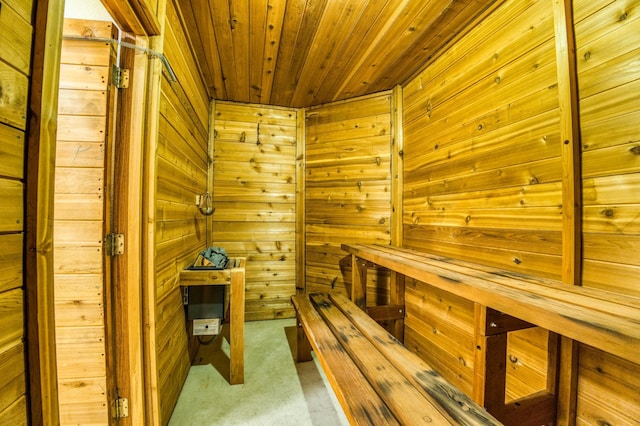 view of sauna featuring carpet floors