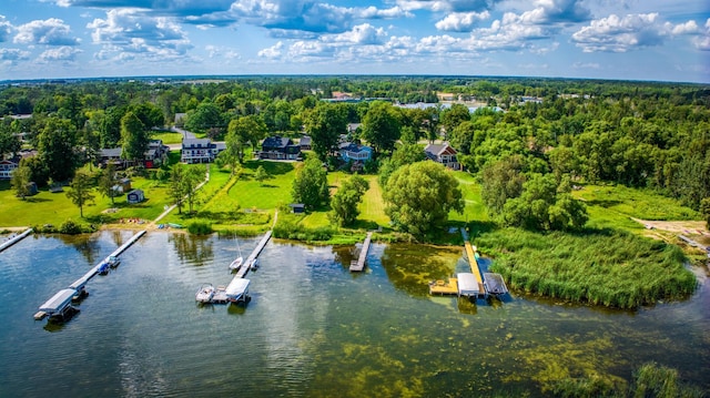 bird's eye view featuring a water view and a wooded view